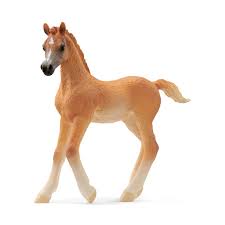 Schleich - Arabian Foal