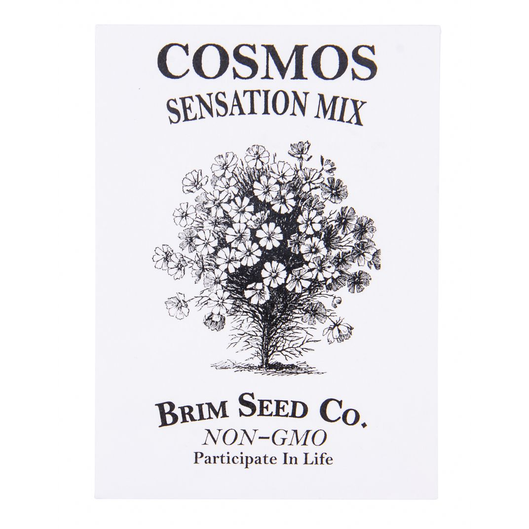 Brim Seed Co. - Sensation Mix Cosmos Flower Seed