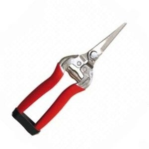 Terrebonne - Small Straight Shear