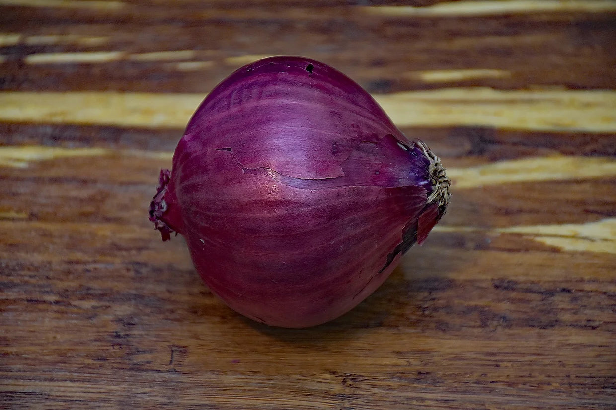 Brim Seed Co. - Burgundy Red Short Day Onion Heirloom Seed