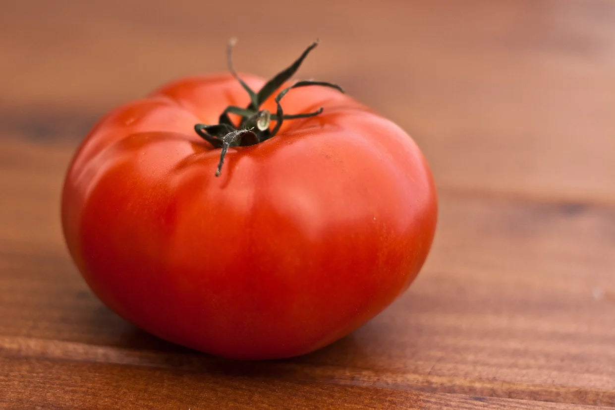 Brim Seed Co. - Sioux Tomato Heirloom Seed