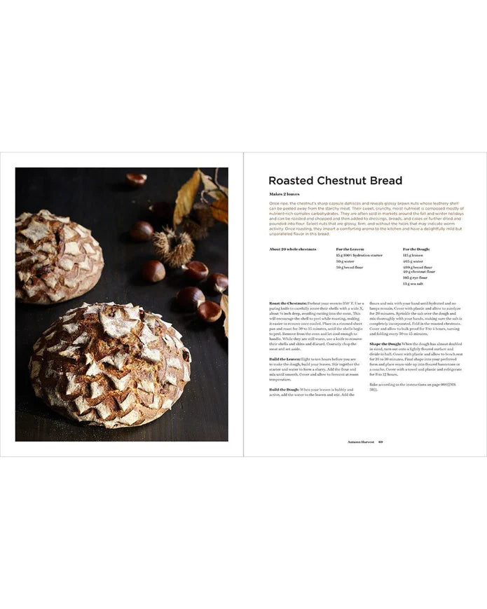 Sourdough: Recipes for Rustic Fermented Breads, Sweets, Savories, and More - by Sarah Owens