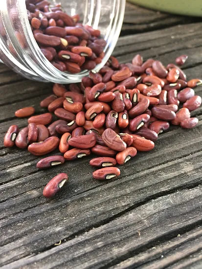 Brim Seed Co. - Southern Acclimated Yard Long Bean