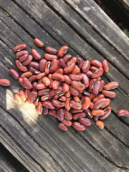 Brim Seed Co. - Southern Acclimated Yard Long Bean