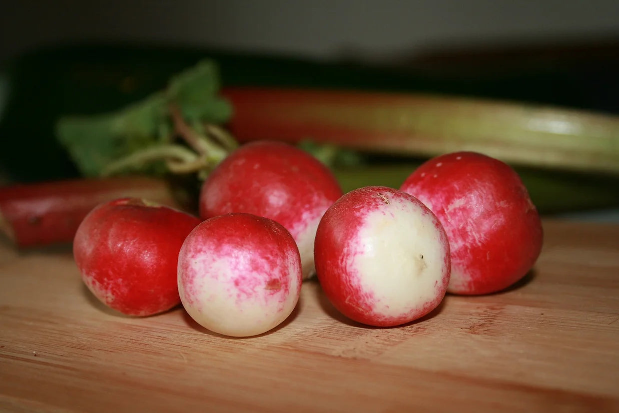 Brim Seed Co. - Sparkler White Top Radish Heirloom Seed