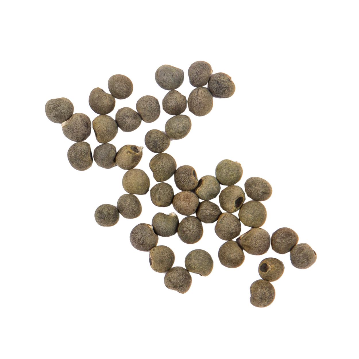 Brim Seed Co. - Clemson Spineless 80 Okra Seed