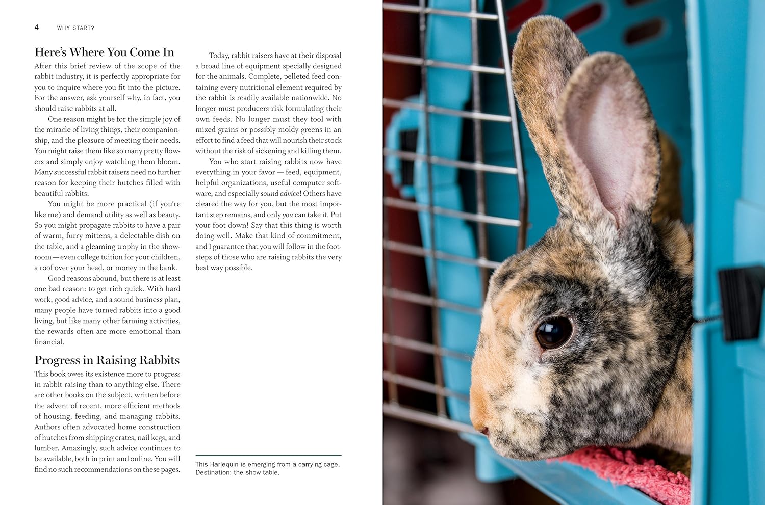 Storey's Guide to Raising Rabbits, 5th Edition: Breeds, Care, Housing - by Bob Bennet