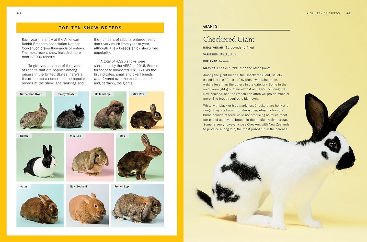 Storey's Guide to Raising Rabbits, 5th Edition: Breeds, Care, Housing - by Bob Bennet