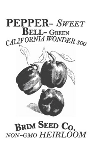 Brim Seed Co. - Sweet Green California Wonder 300 Bell Pepper Heirloom Seed