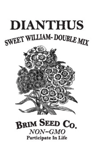 Brim Seed Co. - Sweet William Dianthus Flower Seed