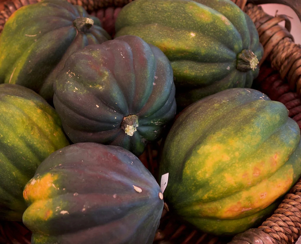 Brim Seed Co. - Winter Table Queen Acorn Squash Heirloom Seed