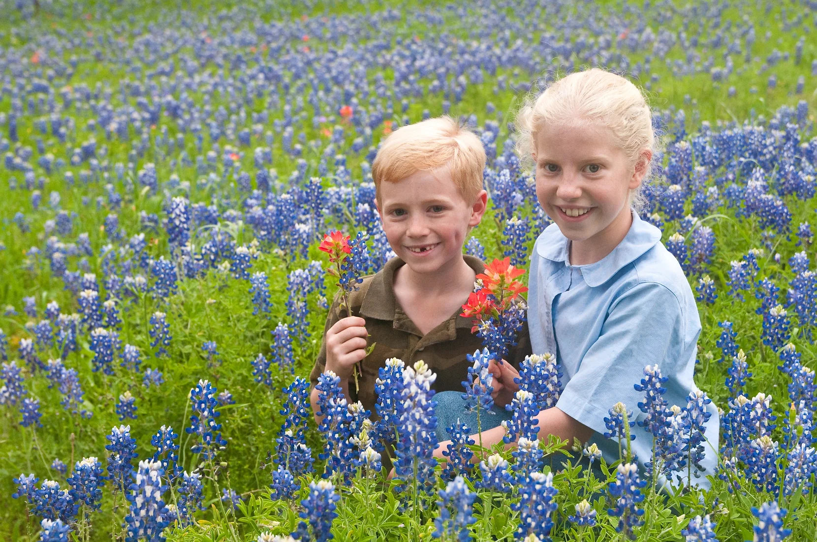 Brim Seed Co. - Texas Bluebonnet Wildflower Seed