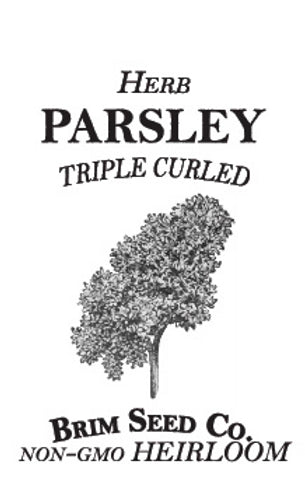 Brim Seed Co. - Triple Curled Parsley Herb Heirloom Seed