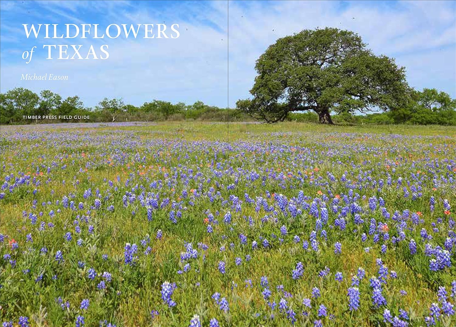 Wildflowers of Texas - by Michael Eason