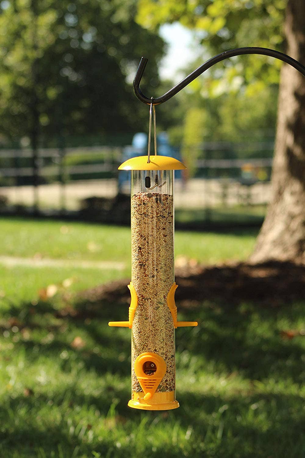 Ashman Bird Feeder, Metal Top and Bottom, Spacious Design, Attractive & Long Lasting