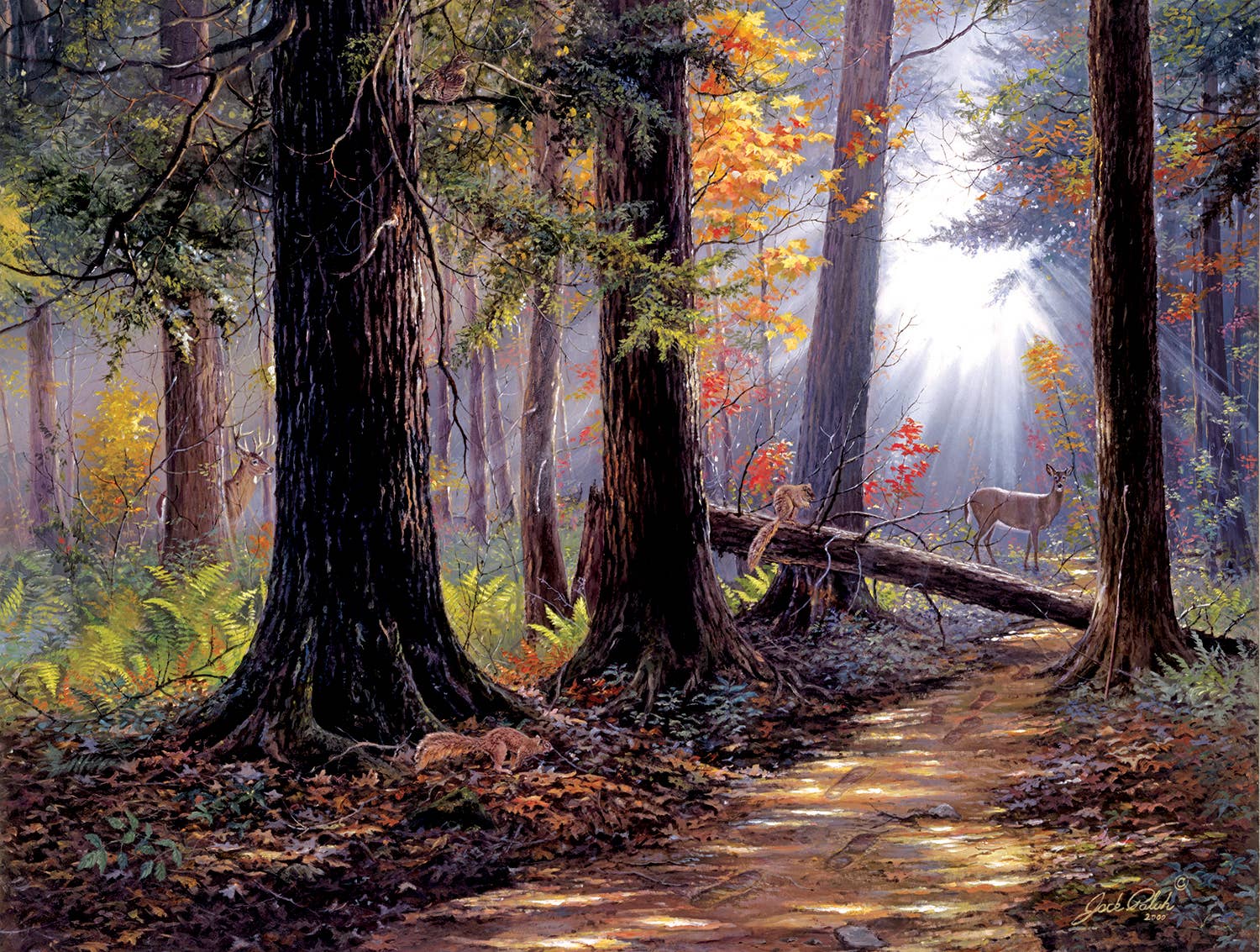 SunsOut - Peaceful Path Puzzle 500 pc