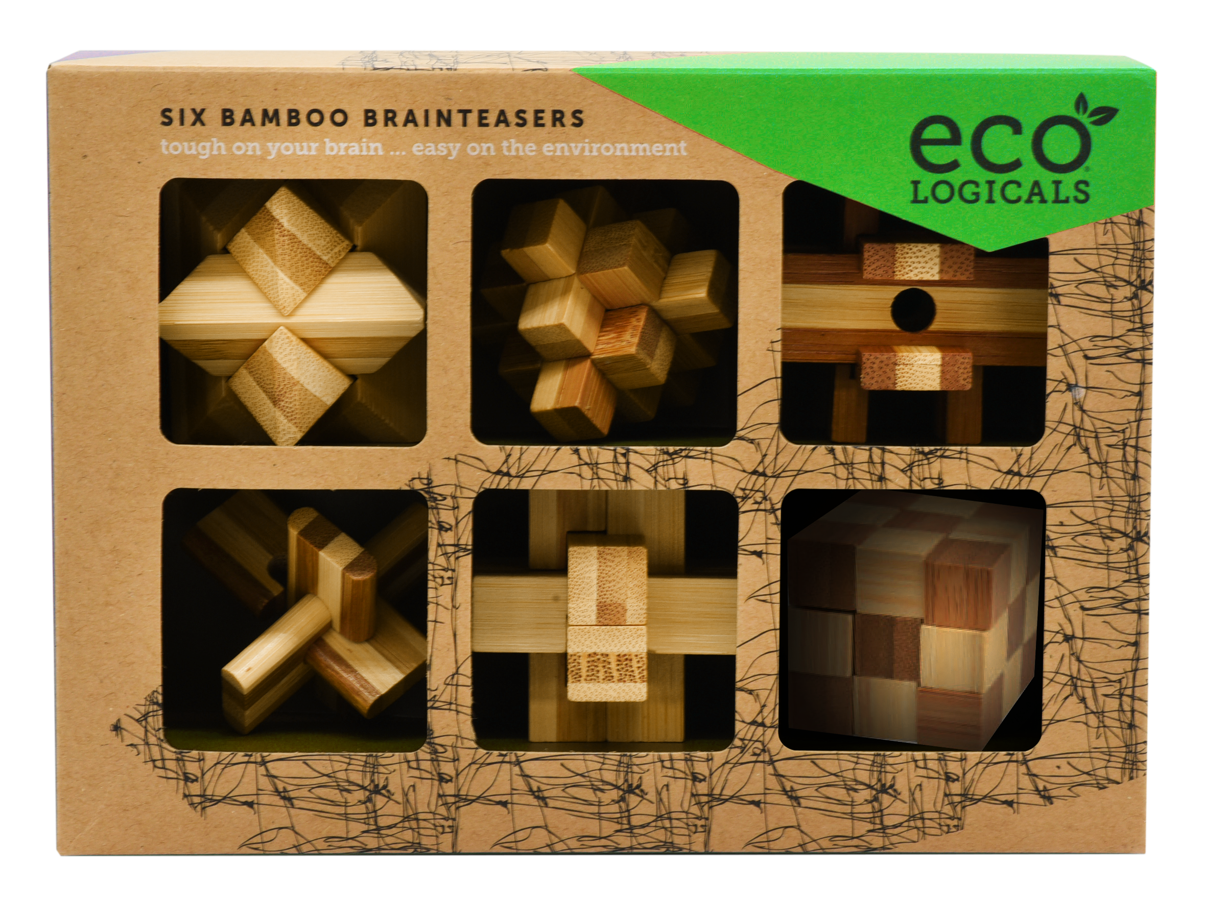 Project Genius - EcoLogicals 6Pack Brainteasers