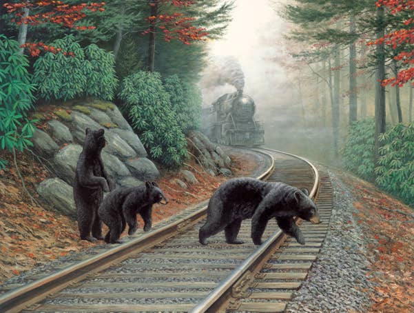 SunsOut -  Bear Tracks Puzzle 500 pc