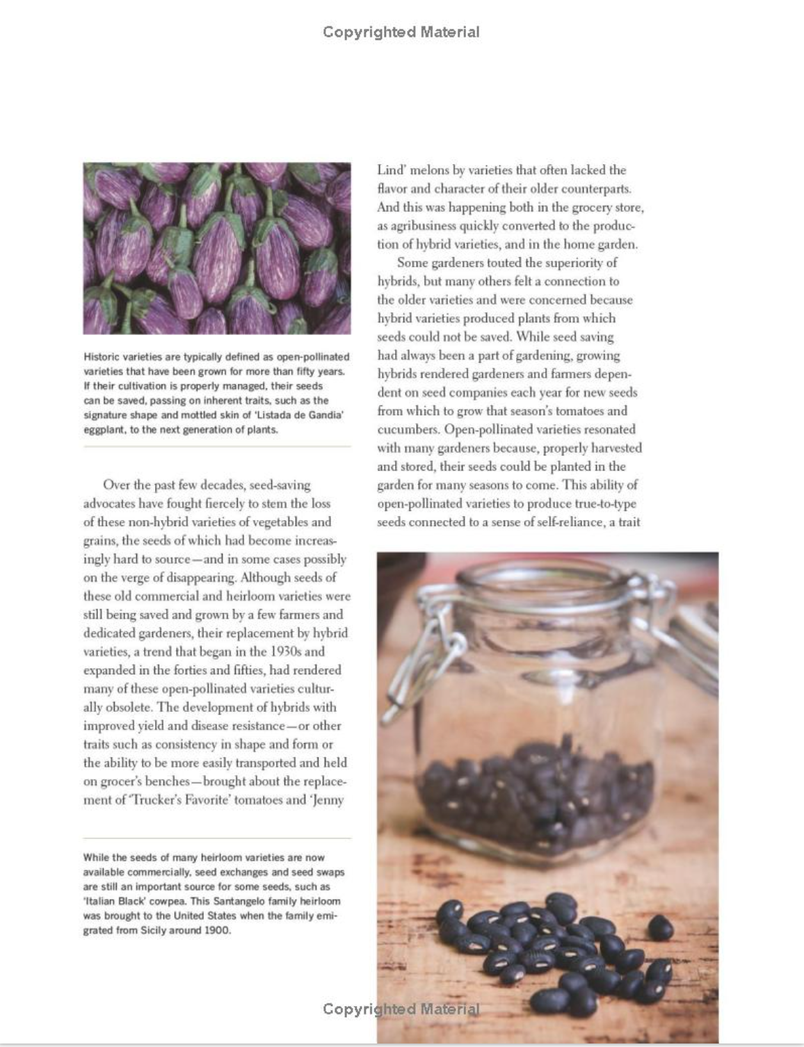 The Seed Garden: The Art and Practice of Seed Saving - by Lee Buttala