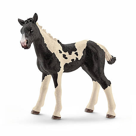 Schleich - Pinto Foal