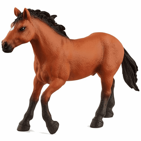 Schleich - Appaloosa Stallion