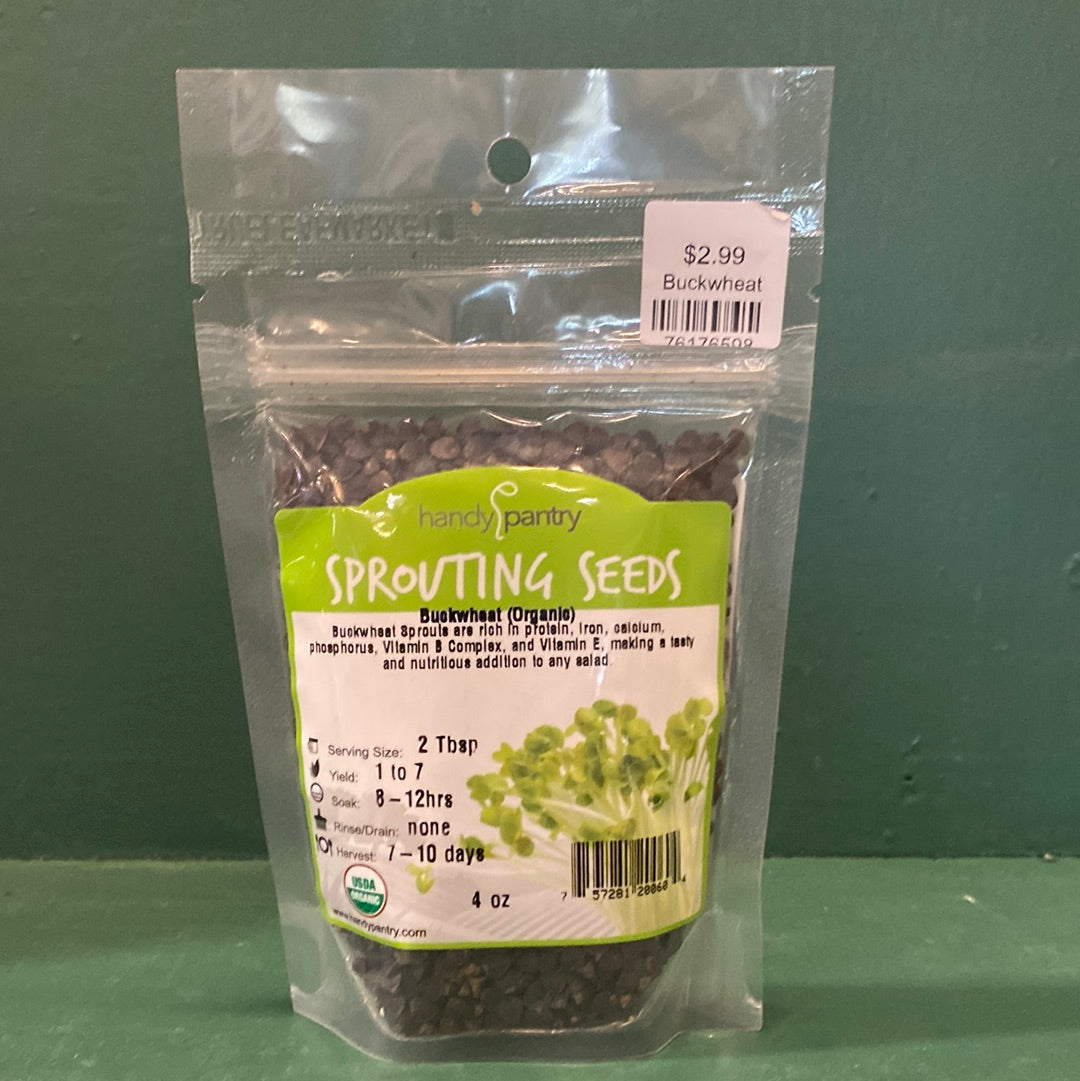 Handy Pantry- Sprouting Seeds